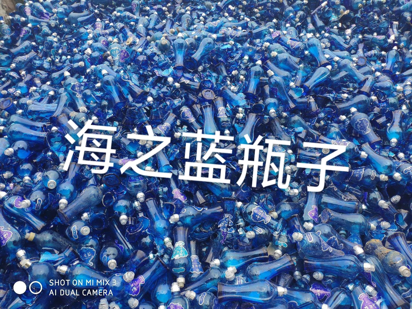 扬中海之蓝瓶回收