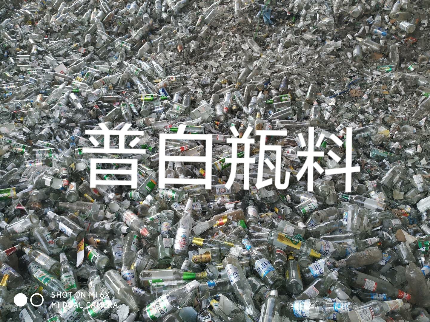 扬中普白瓶料回收
